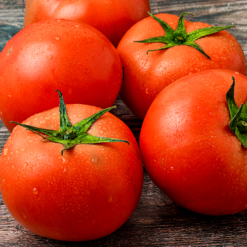 스테비아 완숙 토마토 800g